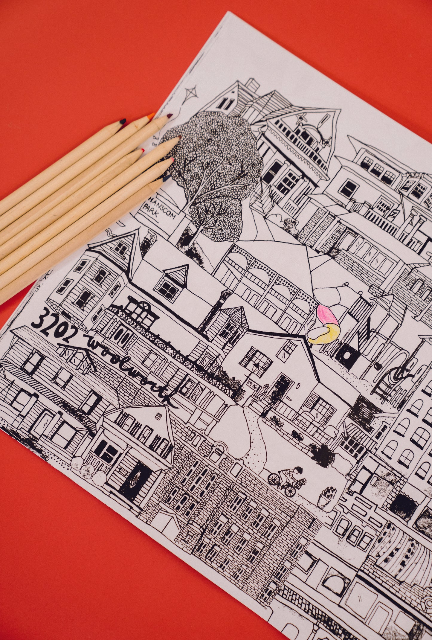 Julia M Illustrates Coloring Book