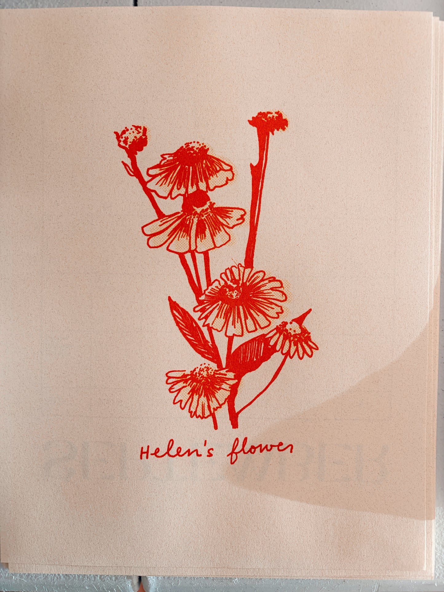 2027 Nebraska Native Flowers - Risograph Calendar