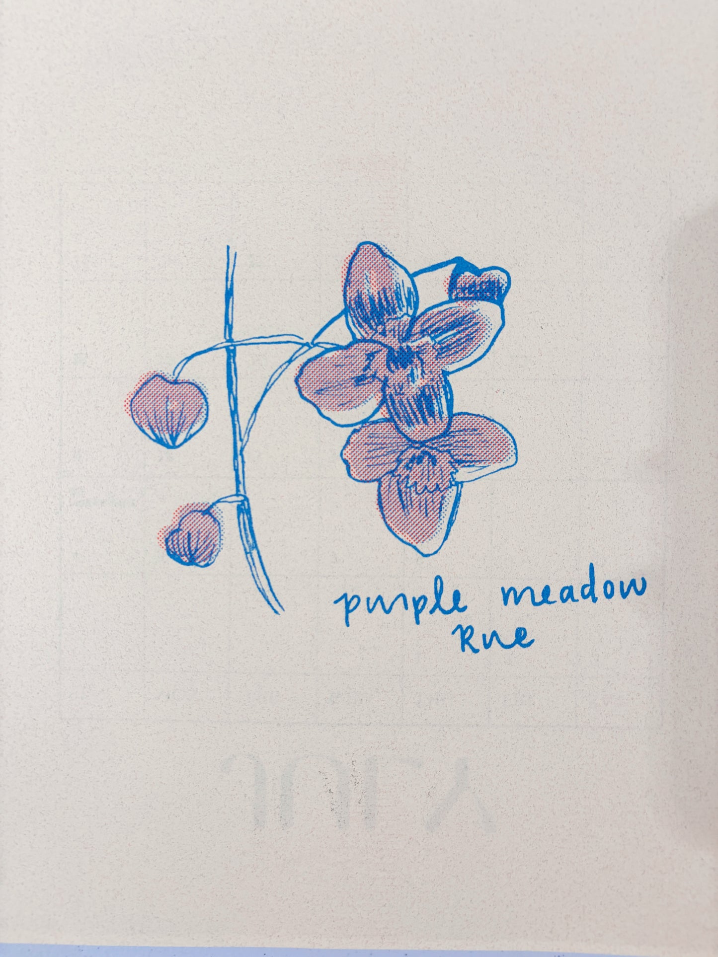 2027 Nebraska Native Flowers - Risograph Calendar