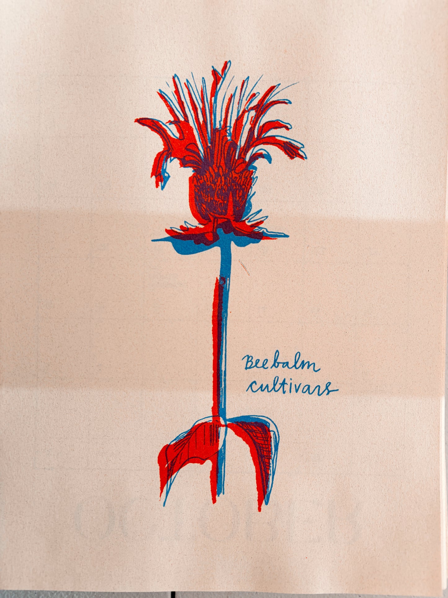 2027 Nebraska Native Flowers - Risograph Calendar
