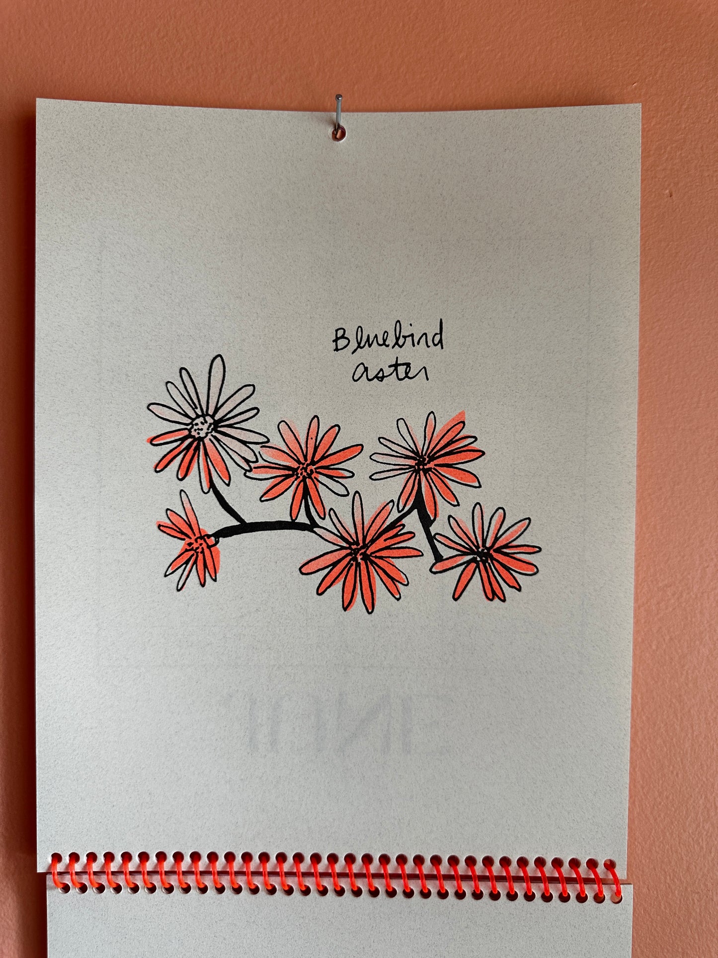 2027 Nebraska Native Flowers - Risograph Calendar