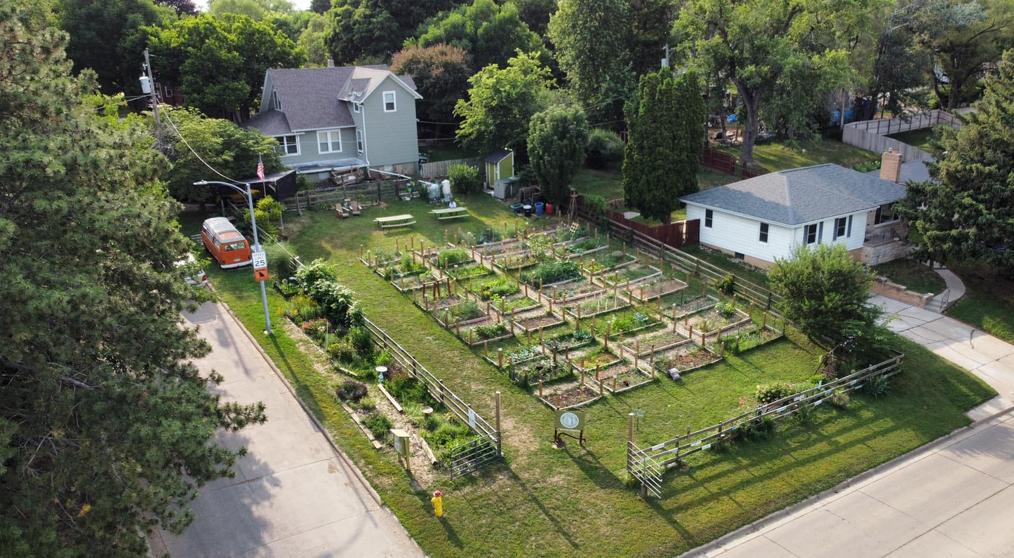Ink & Wildflowers: Drawing Nebraska Native Flowers